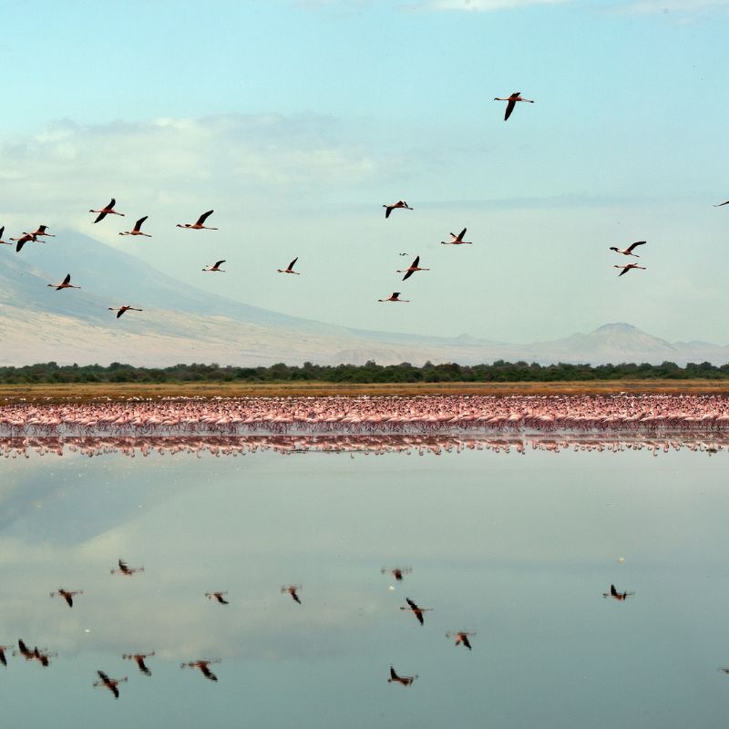 Lake Natron Short Excursion