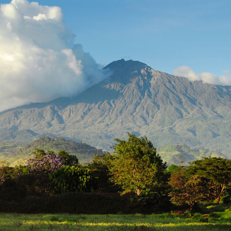 Arusha National Park Day Trip