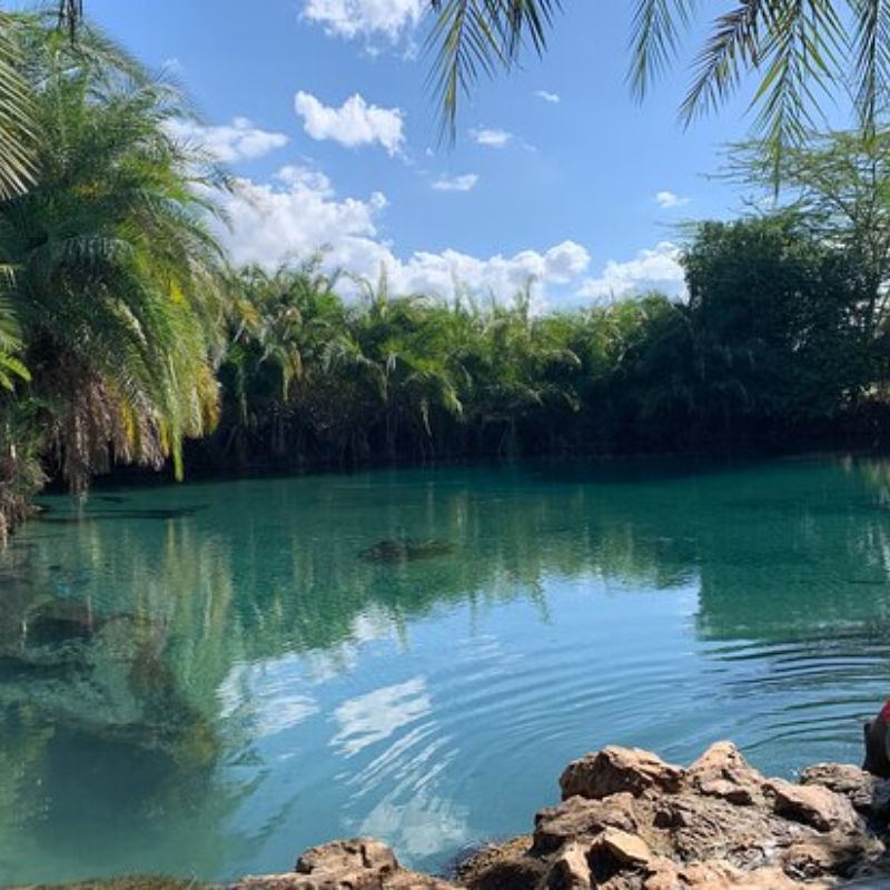 Chemka (Kikuletwa) Hot Springs