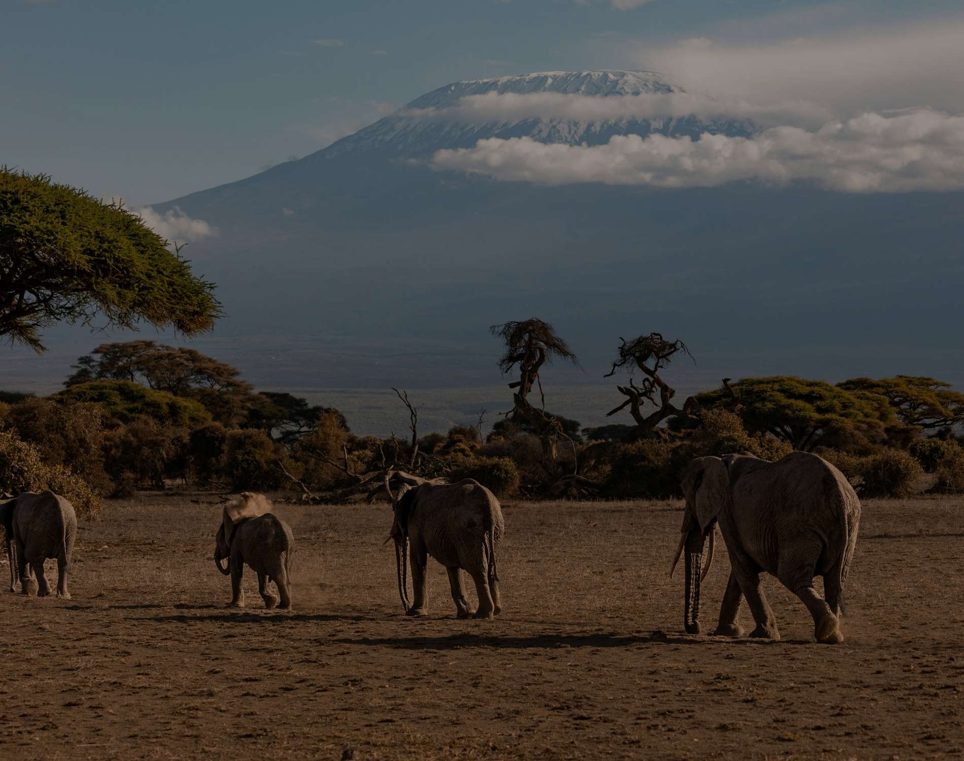 Mount Kilimanjaro