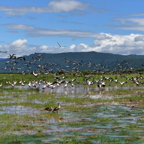 Lake Manyara National Park