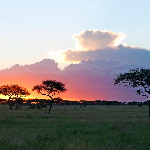 Serengeti National Park