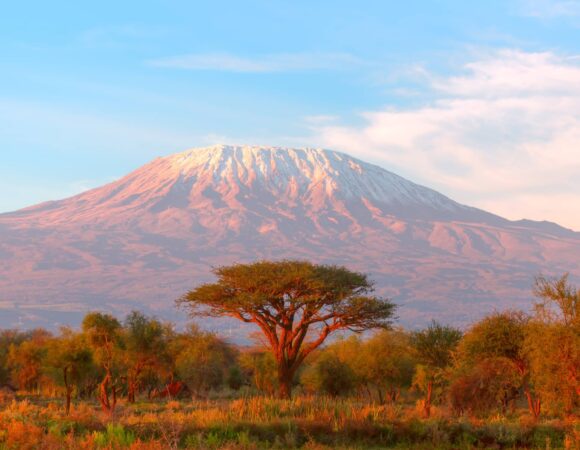 All About Mount Kilimanjaro