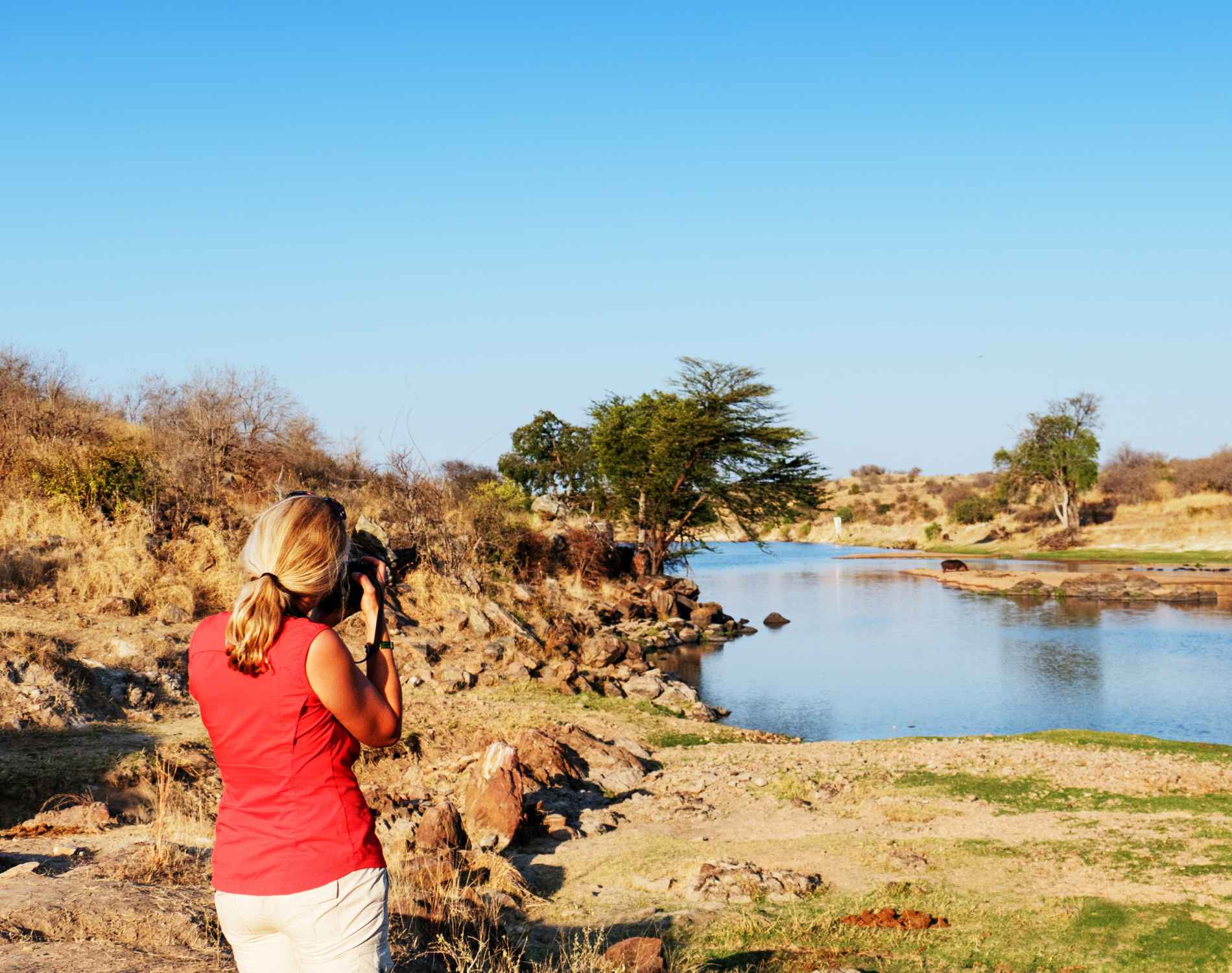Safari & Beach Escape with Mara River Crossing (12 Days)