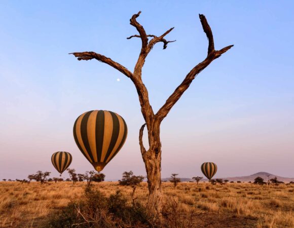 Northern vs Southern Tanzania Safaris. Which One Is Right for You?