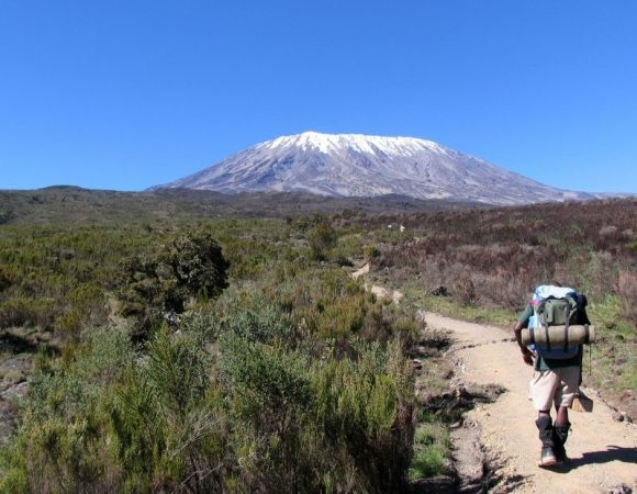12 Days Luxury Kilimanjaro Climb Via Northern Circuit Route