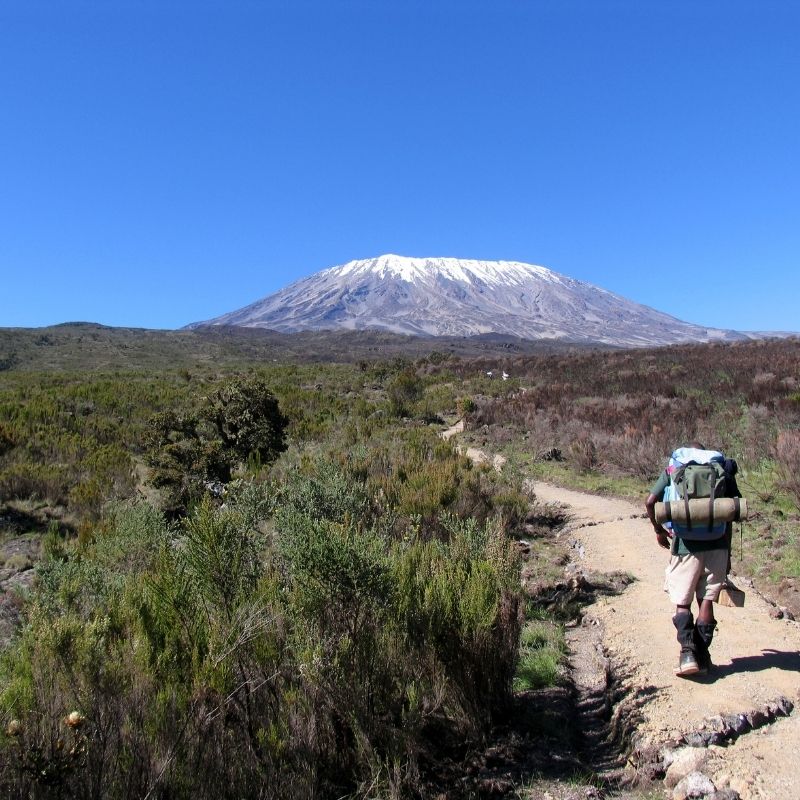12 Days Luxury Kilimanjaro Climb Via Northern Circuit Route