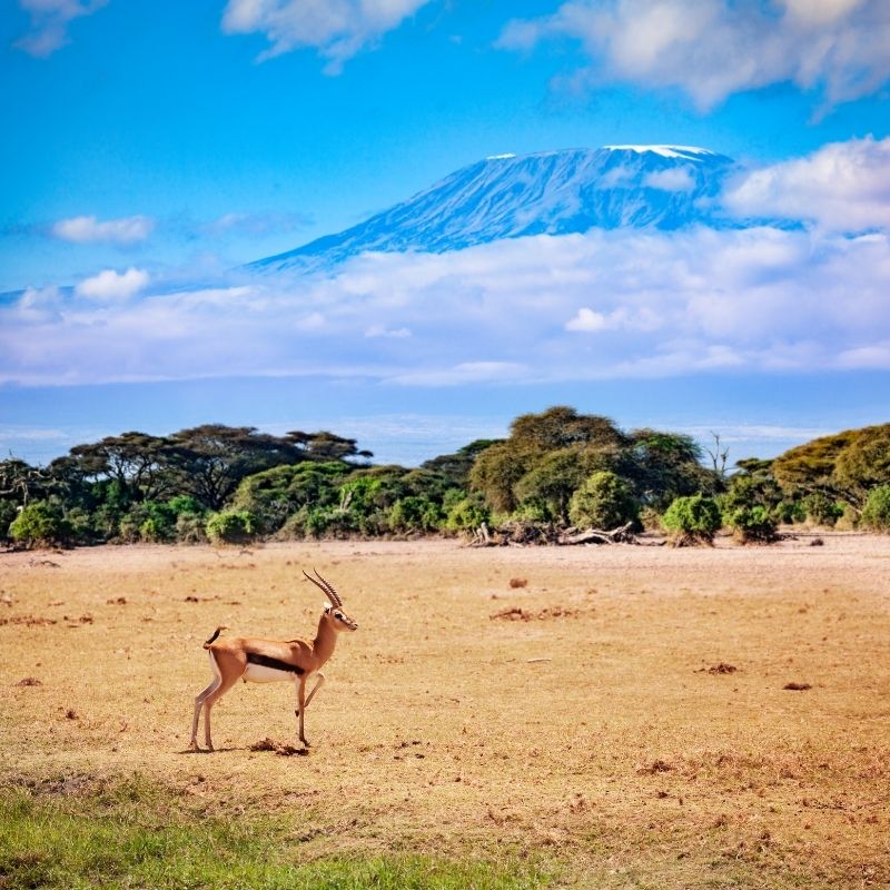 6 Days Marangu Route