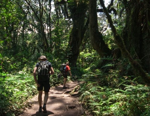 4 Days Mount Meru