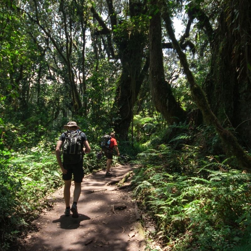 4 Days Mount Meru