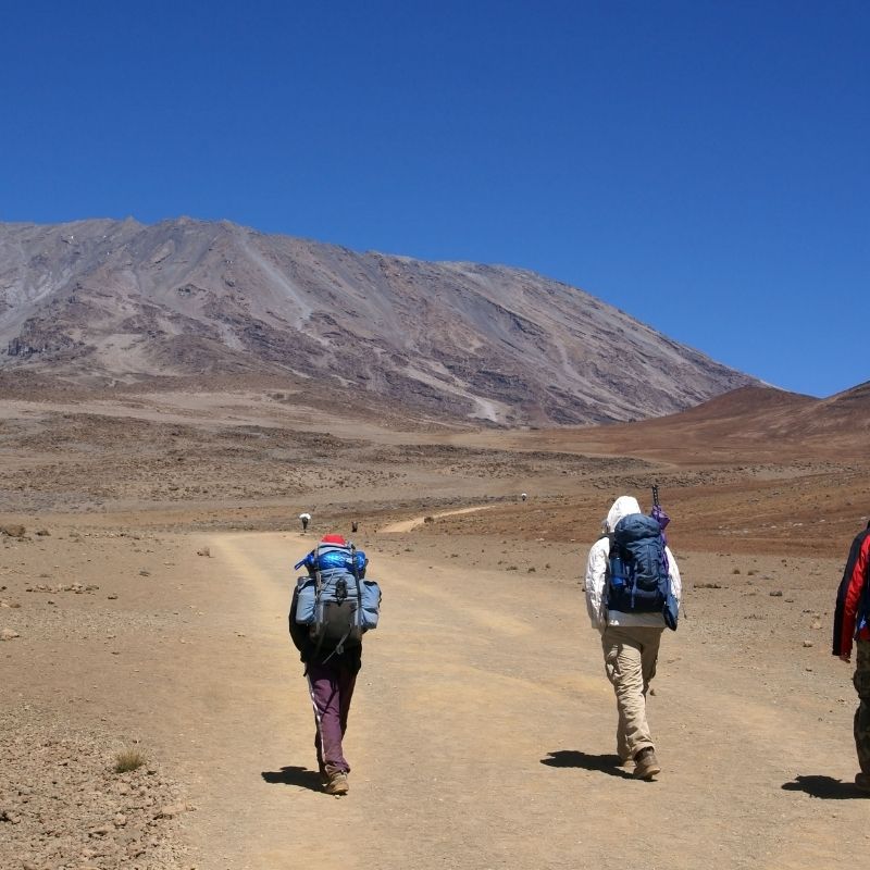 8 Days Lemosho Route