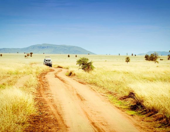 11 Days Southern Tanzania Safari