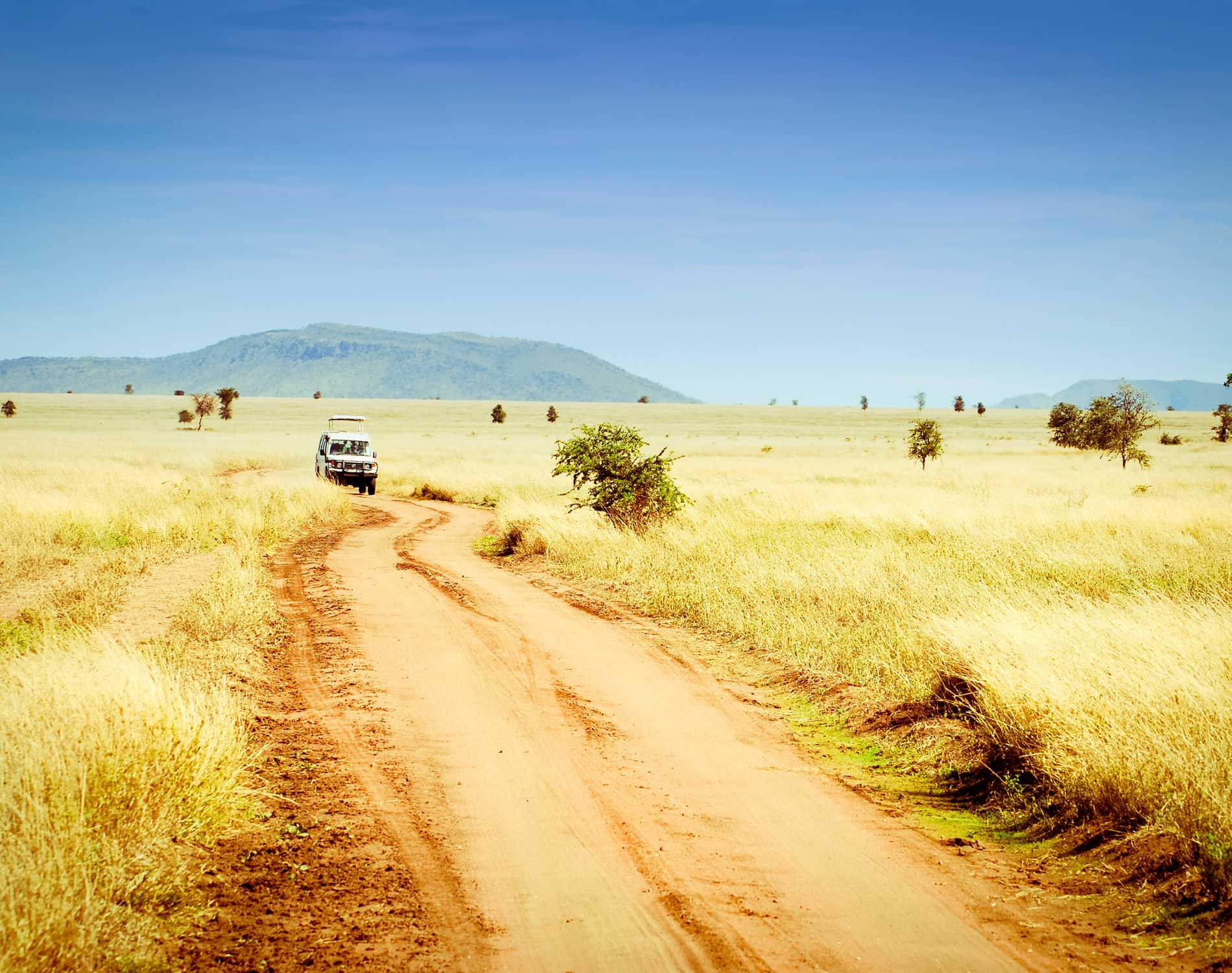 11 Days Southern Tanzania Safari
