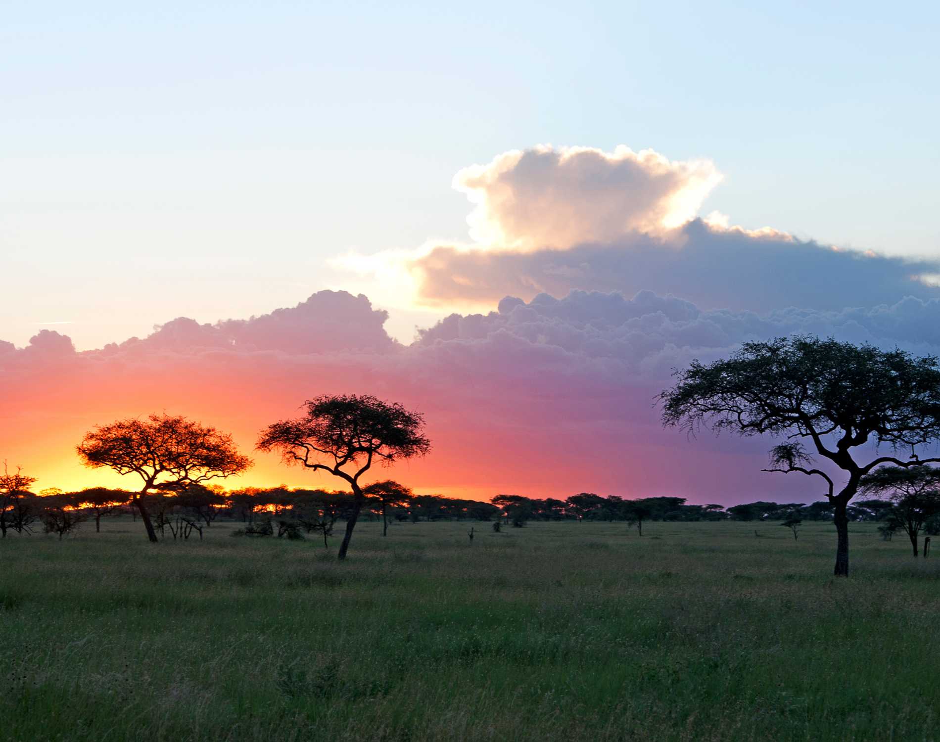 8 Days Southern Tanzania Circuit Safari